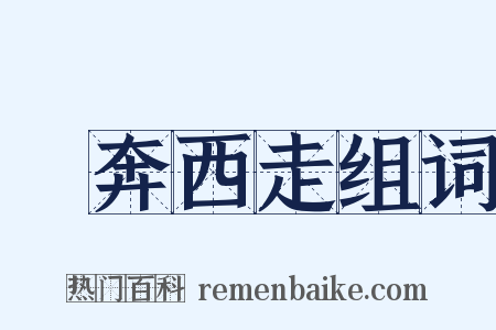 東奔西走组词是什么意思的图片